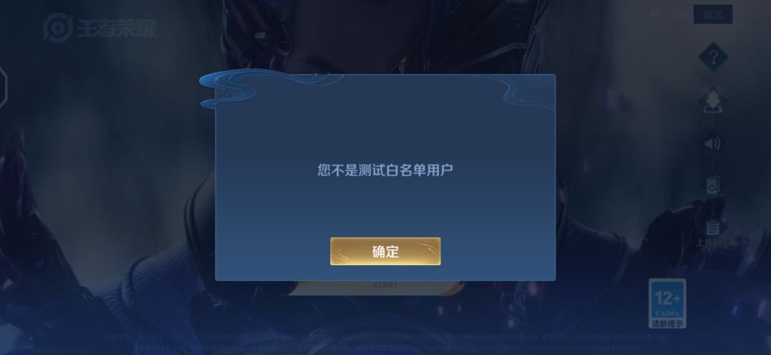 尊敬的王者荣耀官方 1