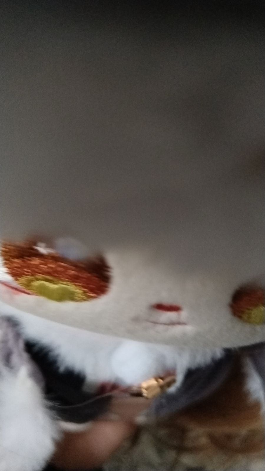 啊啊啊小可爱到手啦 2