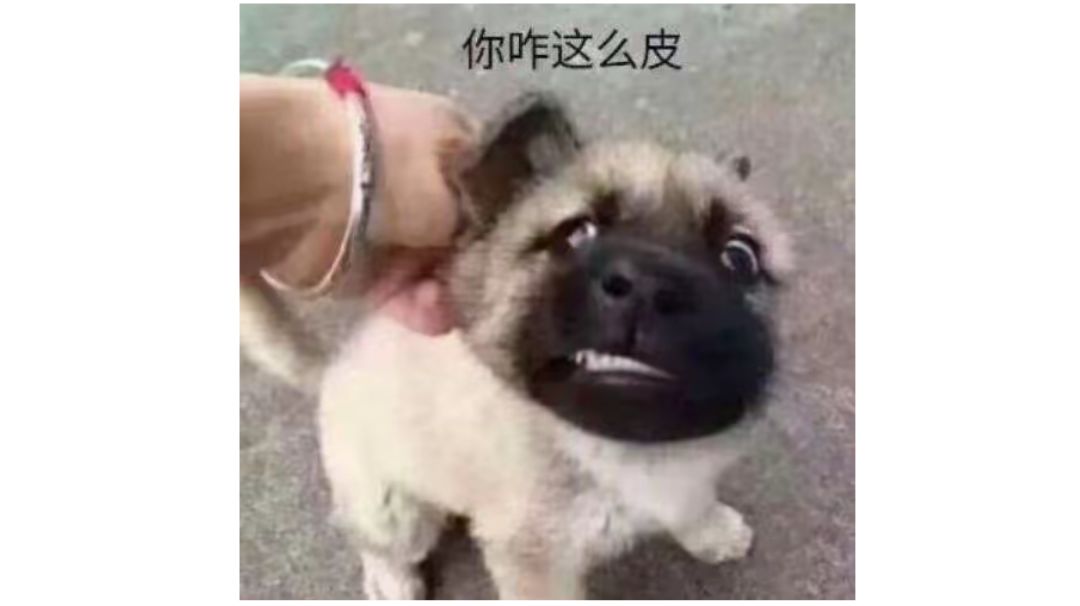 DLC武将满级辅助计策图鉴截图
