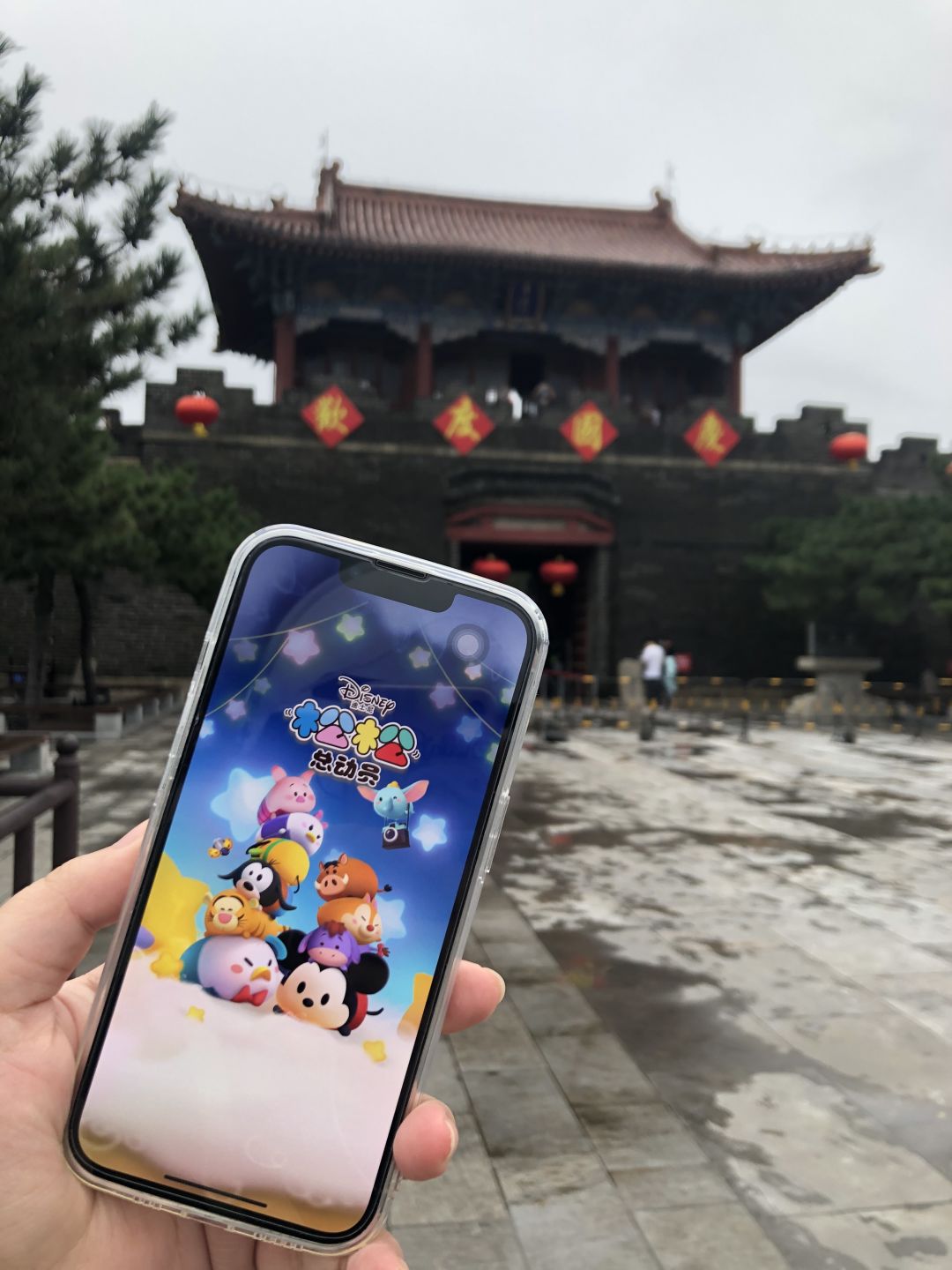 动态图片 1