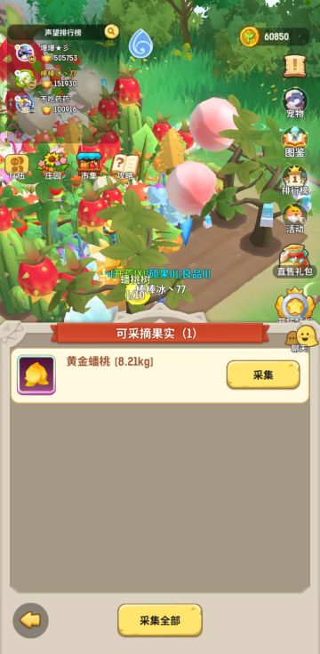 庄园的一个秘密