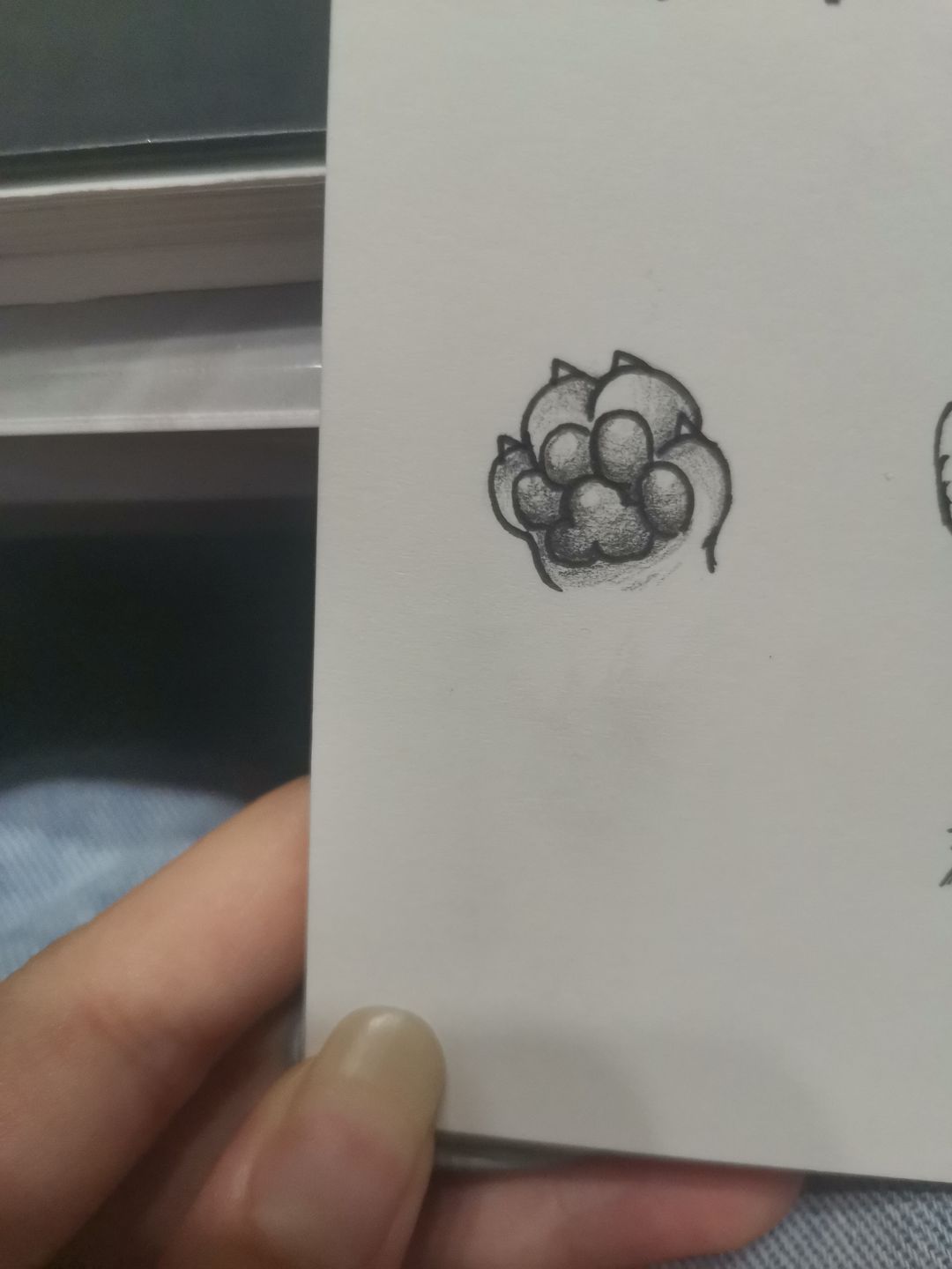 可爱的猫龙 2