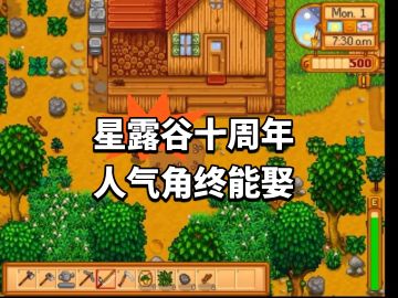 星露谷十周年！人气角终能娶