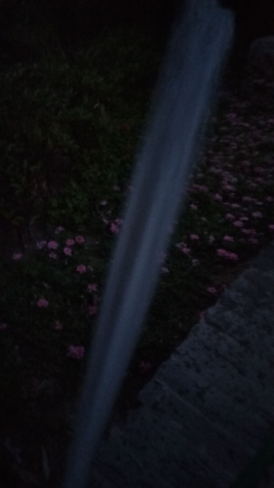 动态图片 12