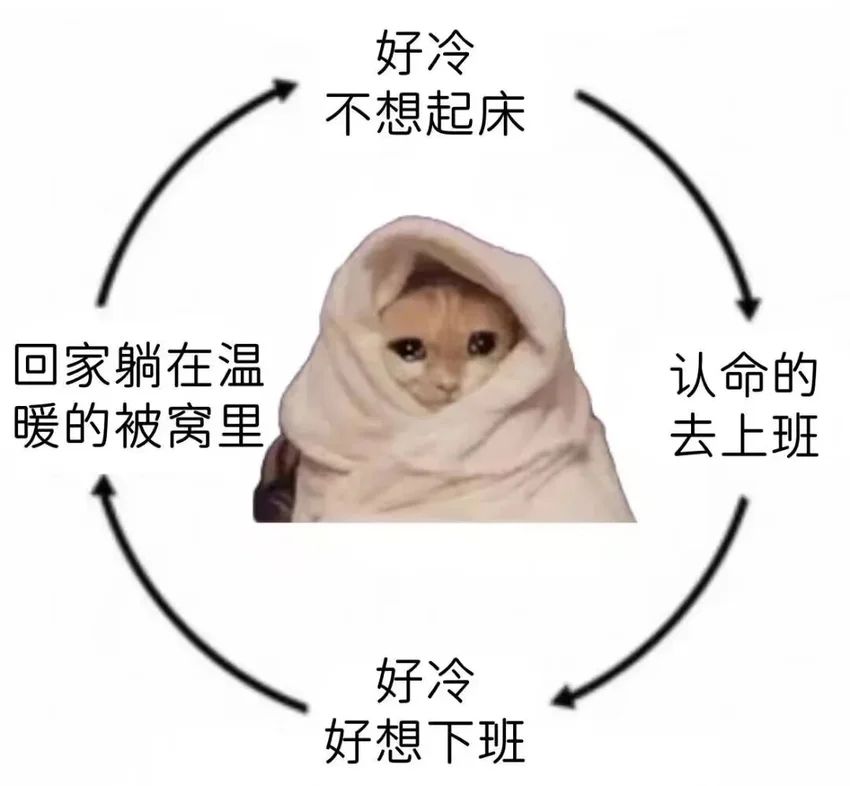 今日份梗图分享 2