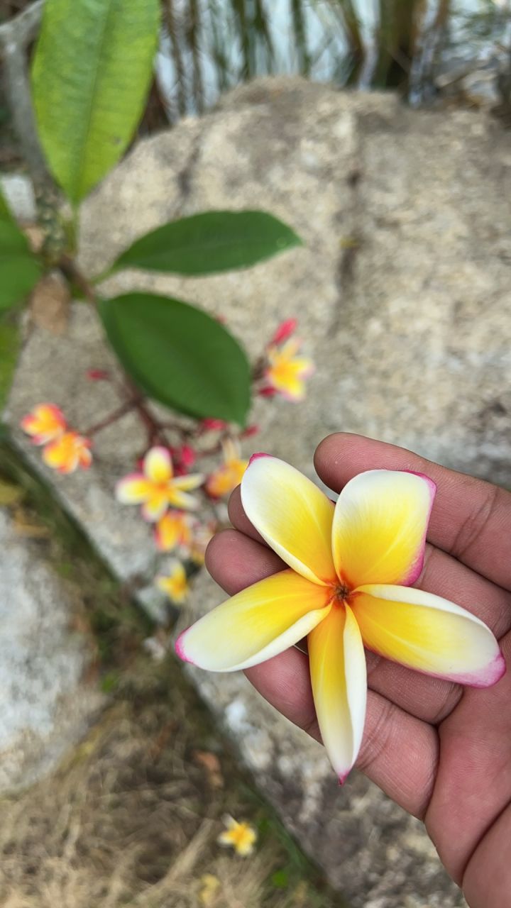 双人小队,21000战力,一起呀
29871893截图