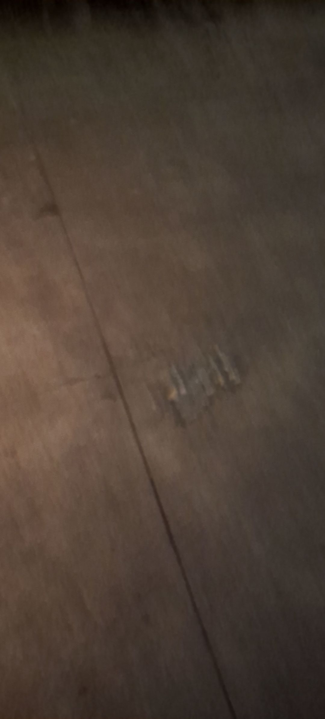 动态图片 12