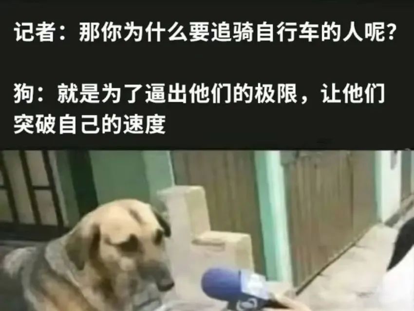 ✨今日份梗图分享第一百零四期✨ 2