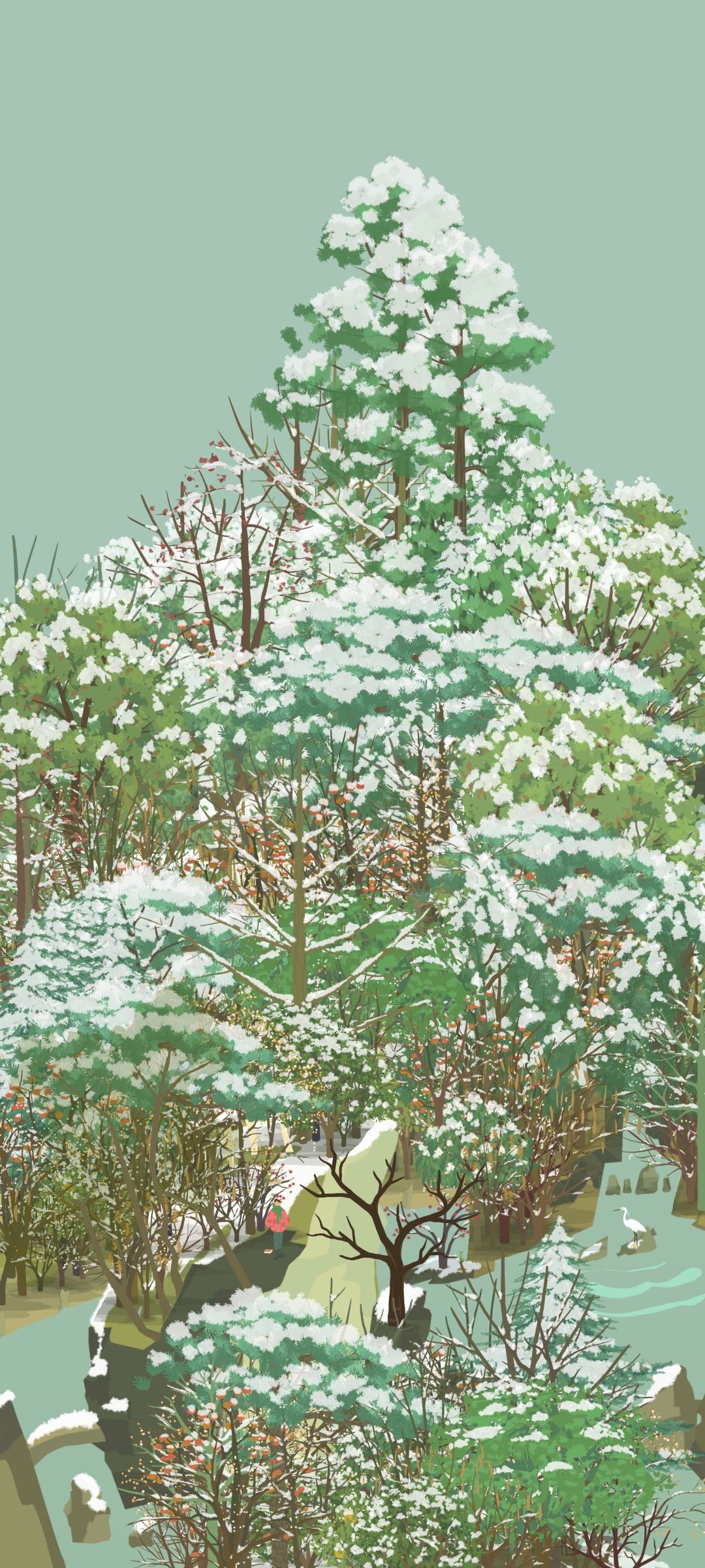 积雪啦!好好看! 1