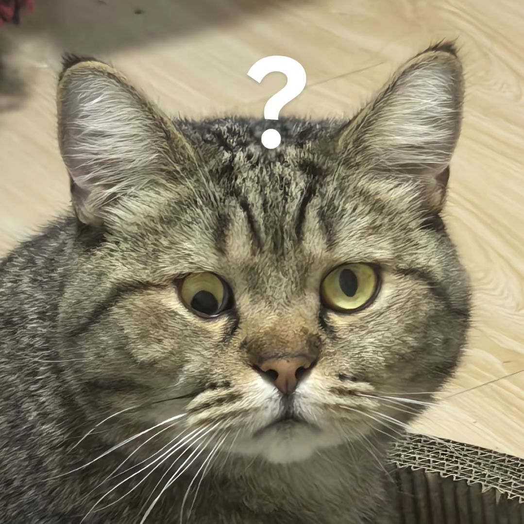 萌新提问 1
