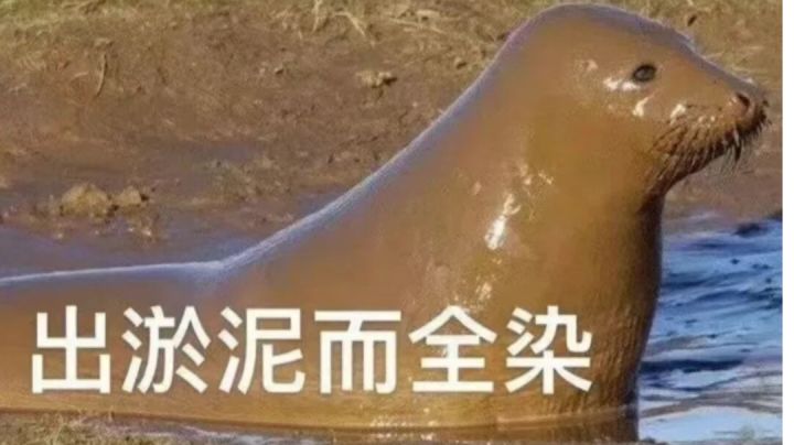 开创!截图