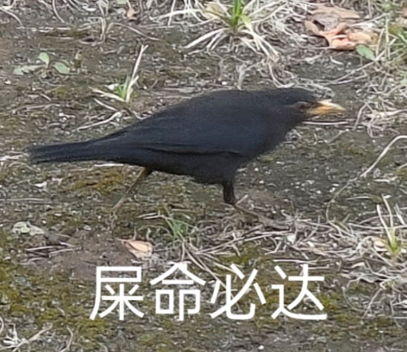 其实还是有些寒心的 3