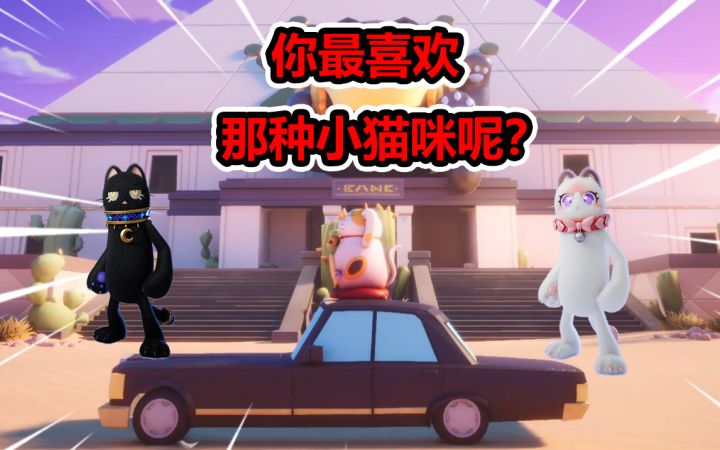 你最喜欢那种小猫咪呢？截图