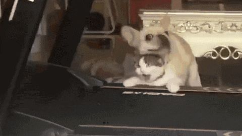 洗脉截图