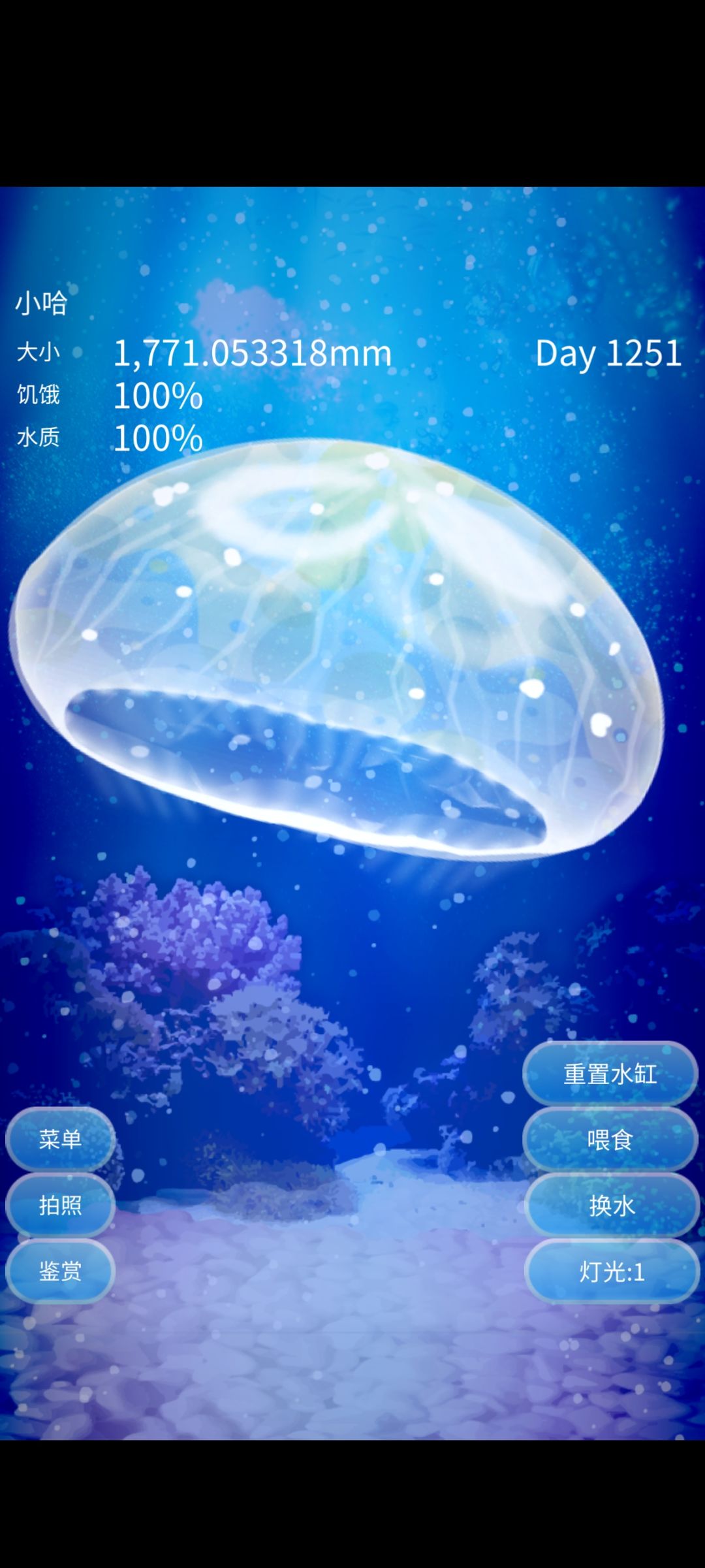 小哈，欢迎回来！ 2