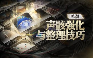 【鸣潮】声骸详细解析，强化技巧/搭配思路/背包整理