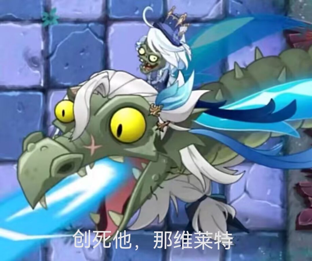 新赛季第一条 2