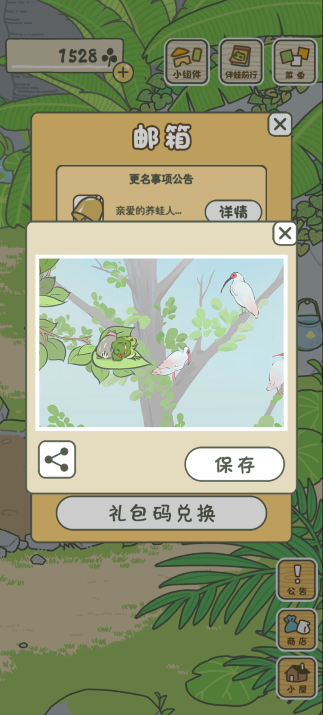 大安崽带椰子回来了 10