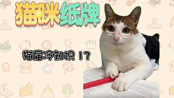 《猫咪纸牌》猫界冷知识17--埋屎的 “小心机”截图