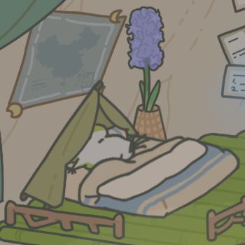 蛙蛙睡相很狂野了 1