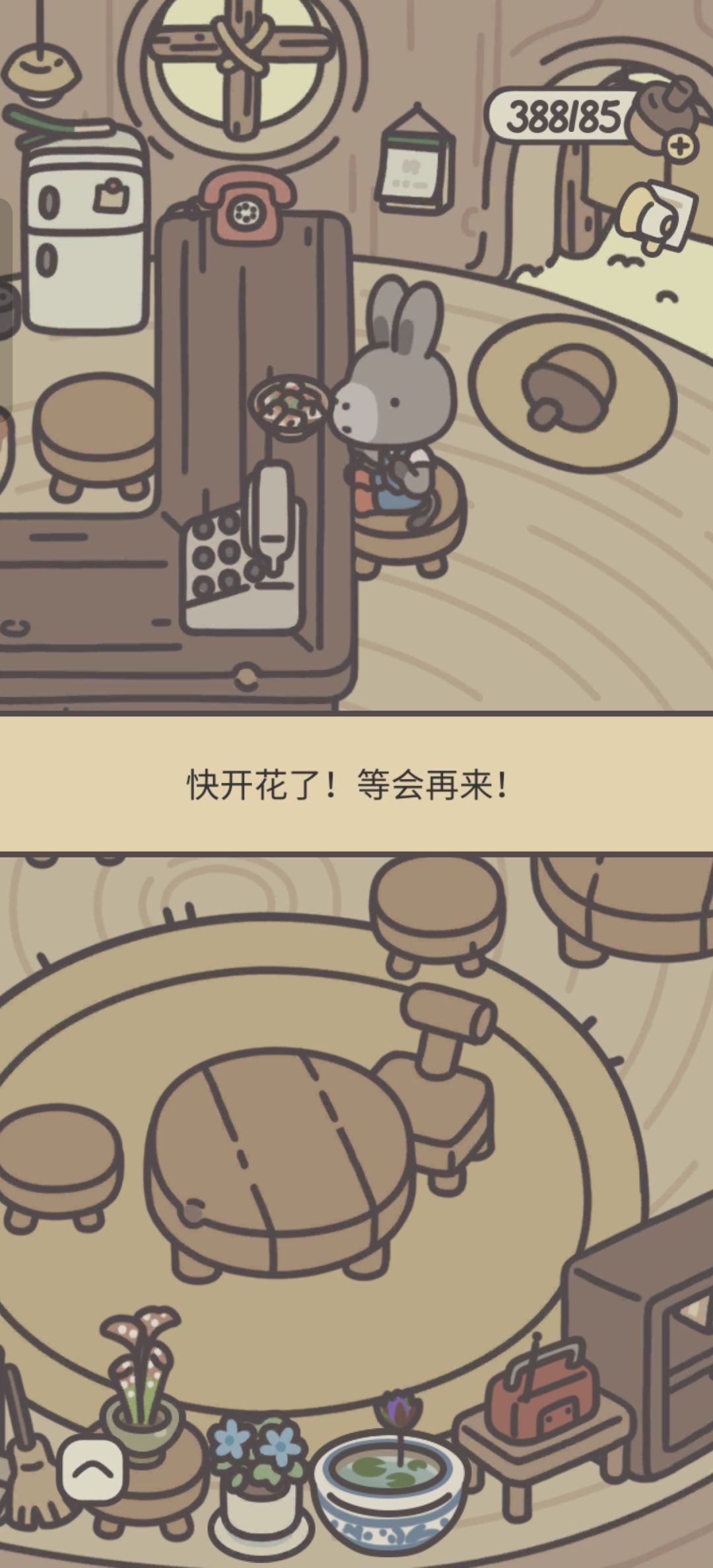 恭喜这位玩家,植物毕业啦~ 1