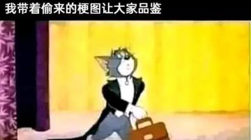 来“电”沙雕图#77