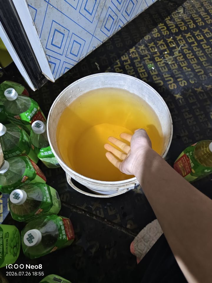 今天请你们喝水晶葡萄截图