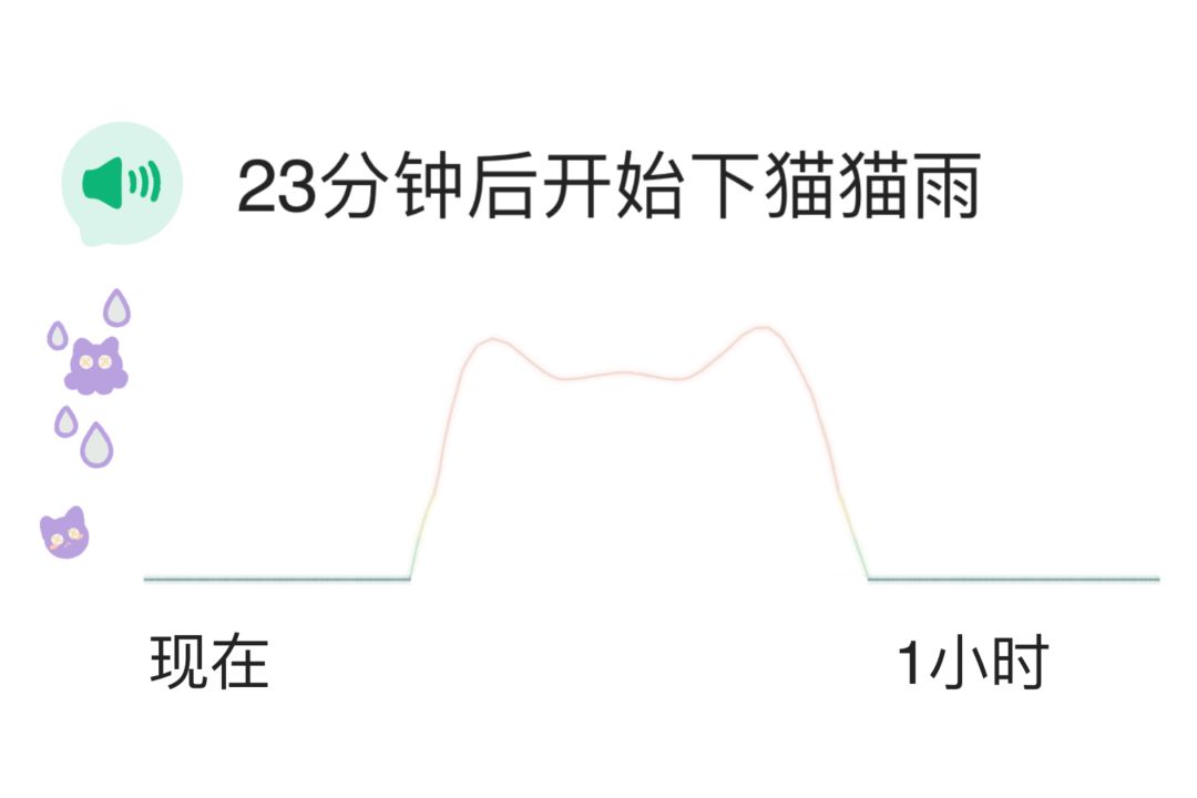 什么?下猫猫雨了? 2