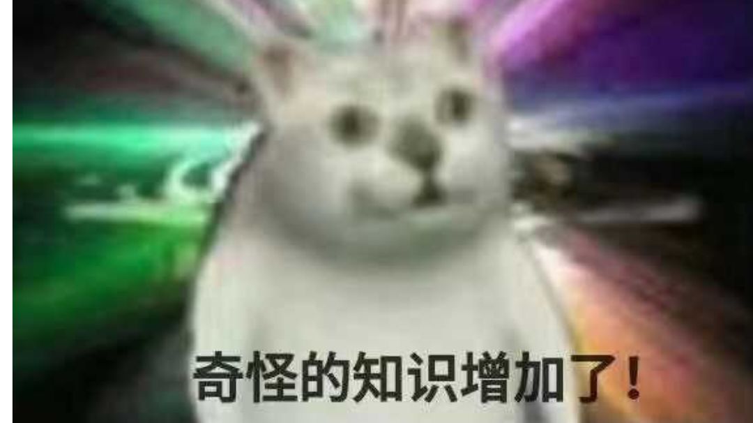 (︎ ᐛ )盘点那些乱七八糟的小知识（基础、入门、进阶）截图