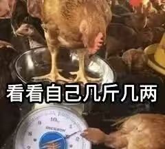 想问一下现在还能三天满级吗 1