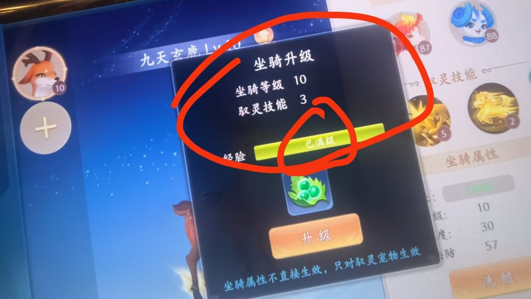 后续不做了? 2