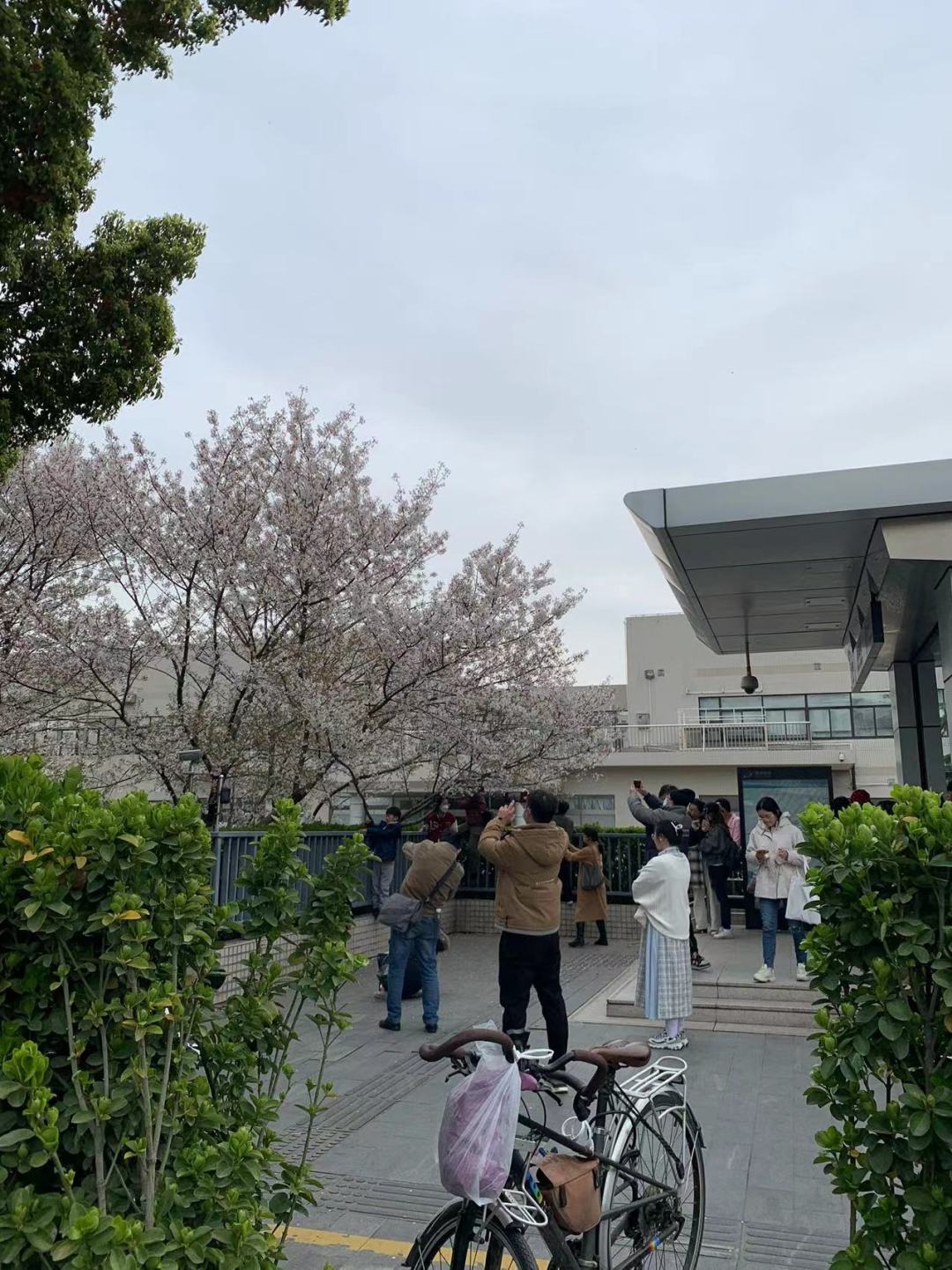 求赞,碎片白嫖 1