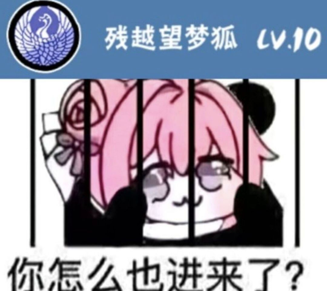 一区家族招人 2