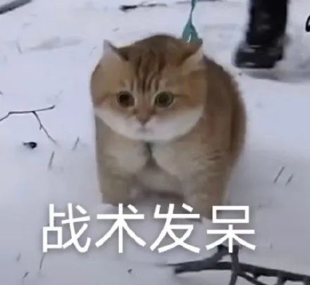 突然更新,是不是活了? 1