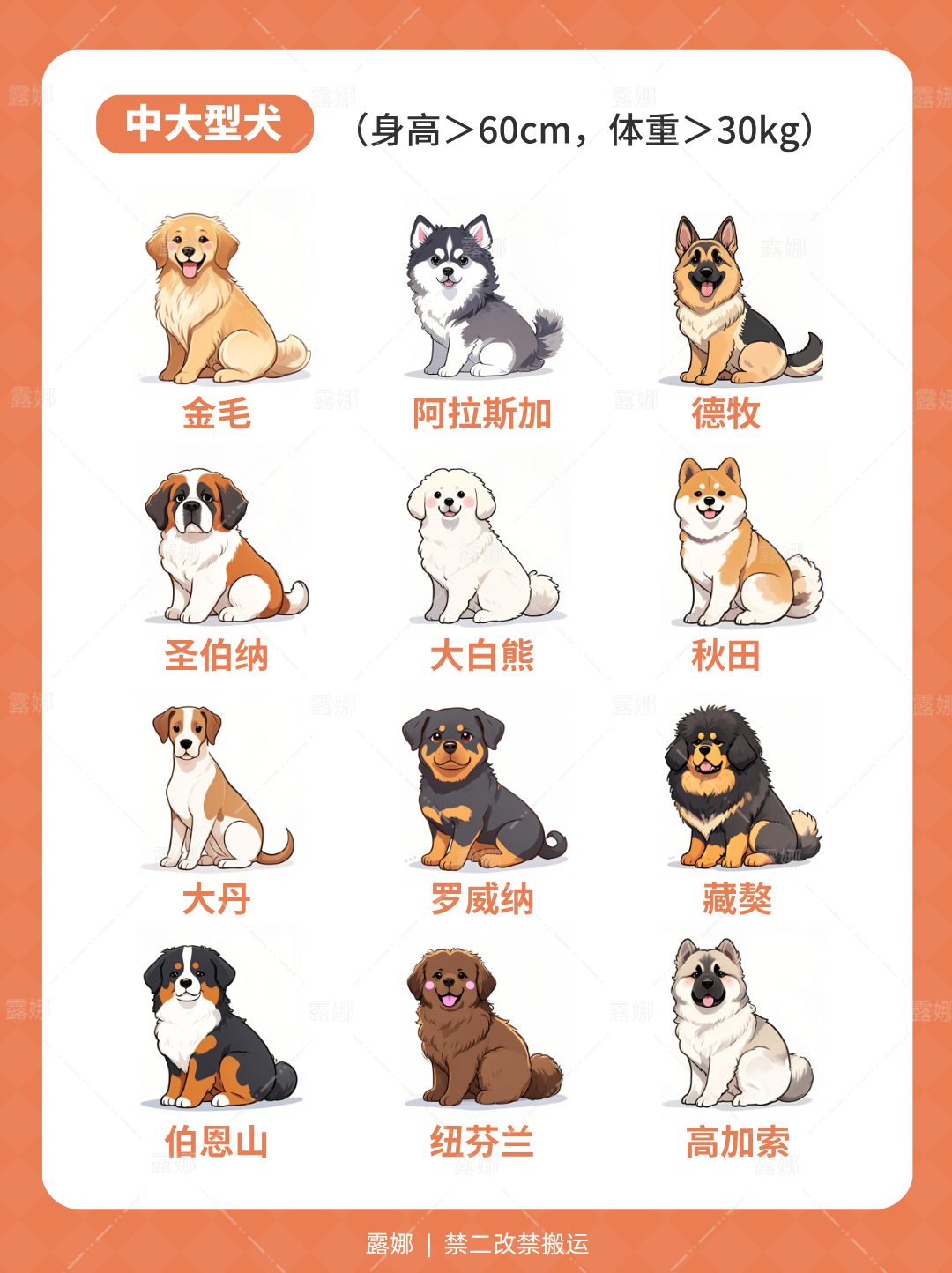 心动小镇 36种常见狗狗科普,你想养哪只? - 心动小镇综合讨论 - TapTap 心动小镇论坛