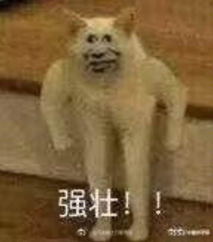童哥的进化路程截图