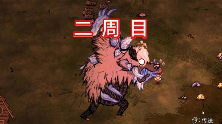 装甲熊獾嘛,眼熟(截图