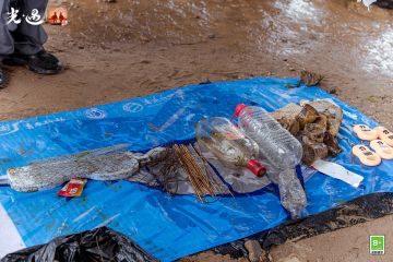 《光·遇》自然日线下公益活动返图