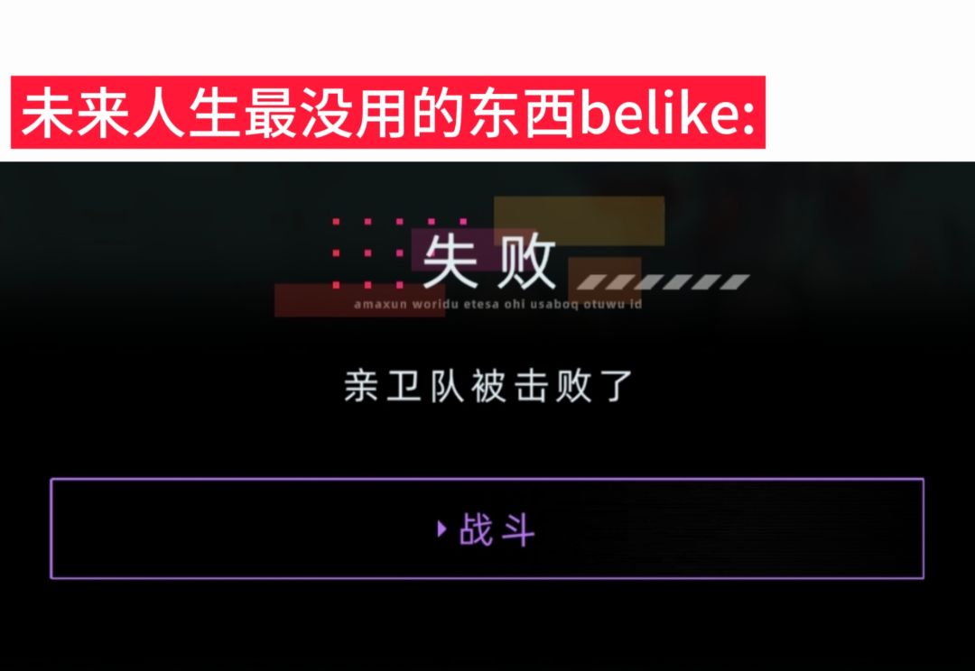 亲卫队到底有什么用。。。 1