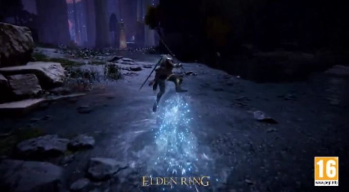 FS发布神秘短片,《艾尔登法环》或迎来全新DLC!截图