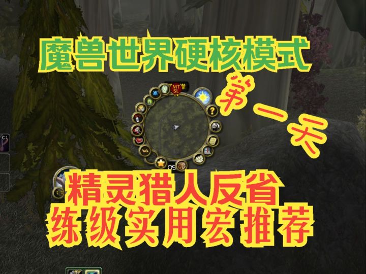 魔兽世界硬核模式 精灵猎人第一天反省 常用宏推荐截图