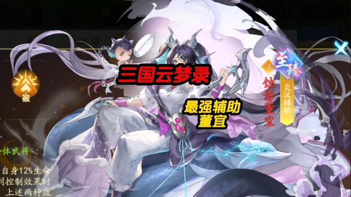 三国云梦录最强辅助董宜截图