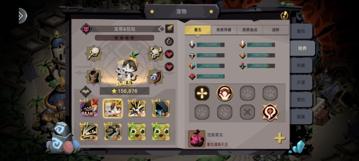 包包怎么养啊?截图