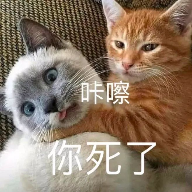 强烈要求下个版本出个跨界石置换活动截图