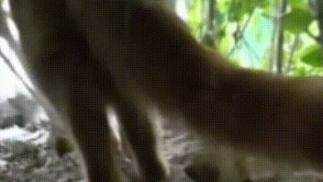 哈基米镇楼 浅谈贤者困境和建议