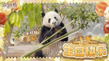 《五五的成长日记》更新！