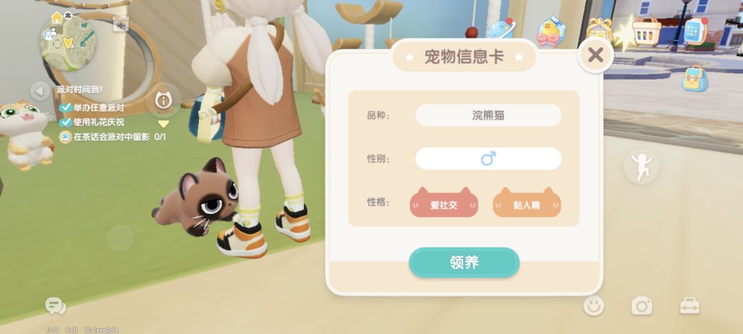 这个猫稀有吗 1