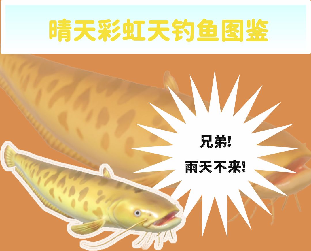 🐟雨天鱼🌧雨天钓鱼图鉴【附雨天不出没】🐟 3