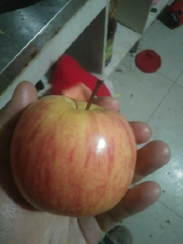 分享游戏同款美食 3