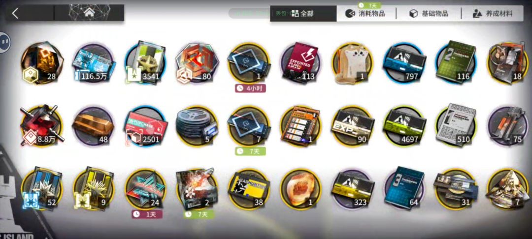 给维什戴尔攒石头的第95天 1
